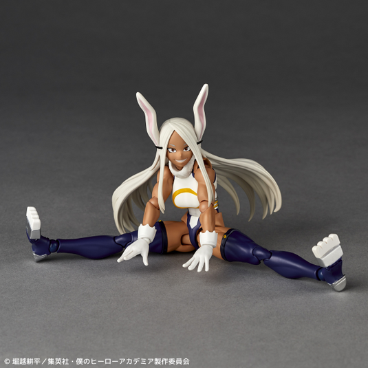 Kaiyodo - Amazing Yamaguchi - Revoltech NR054 - Mirko