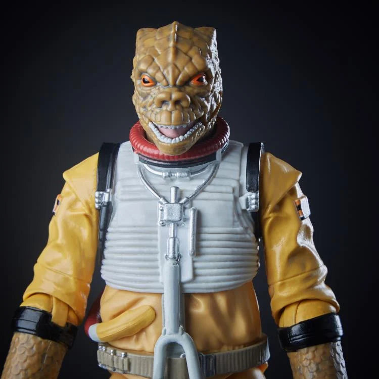 Load image into Gallery viewer, Star Wars the Black Series - Archive Bossk (Reissue)
