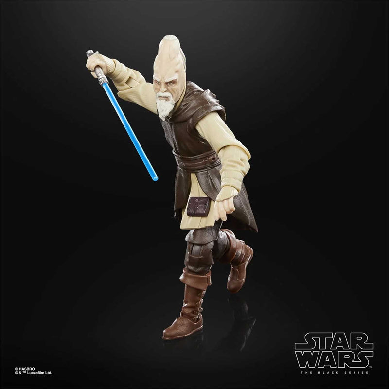 Load image into Gallery viewer, Star Wars the Black Series - Ki-Adi-Mundi
