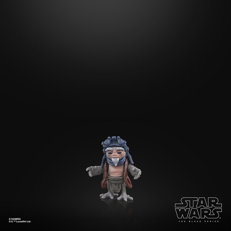 Load image into Gallery viewer, Star Wars - The Black Series - Deluxe IG-12 &amp; Grogu
