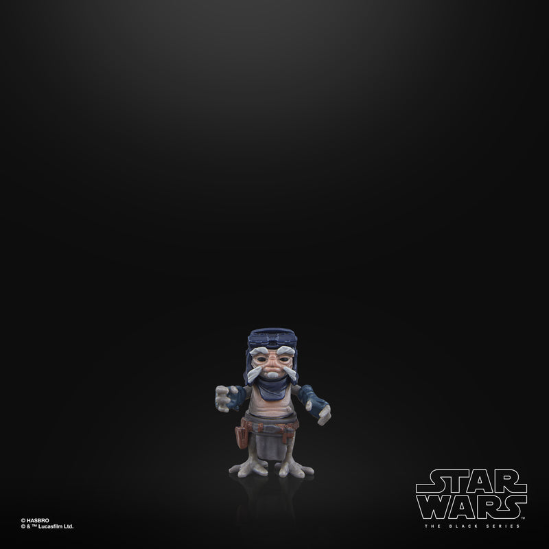 Load image into Gallery viewer, Star Wars - The Black Series - Deluxe IG-12 &amp; Grogu
