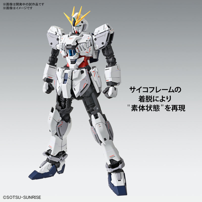 Load image into Gallery viewer, Master Grade 1/100 - Narrative Gundam C-Packs Ver. Ka
