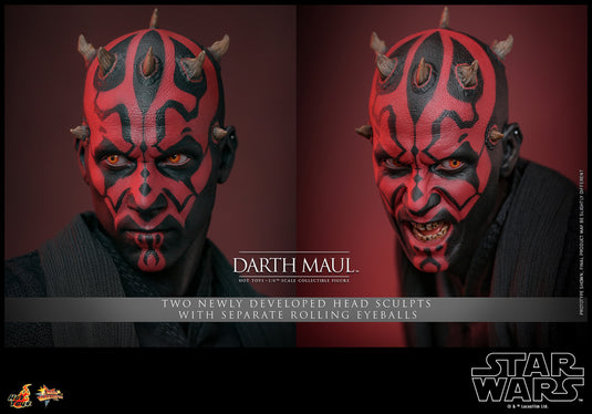 Hot Toys - Star Wars The Phantom Menace - Darth Maul