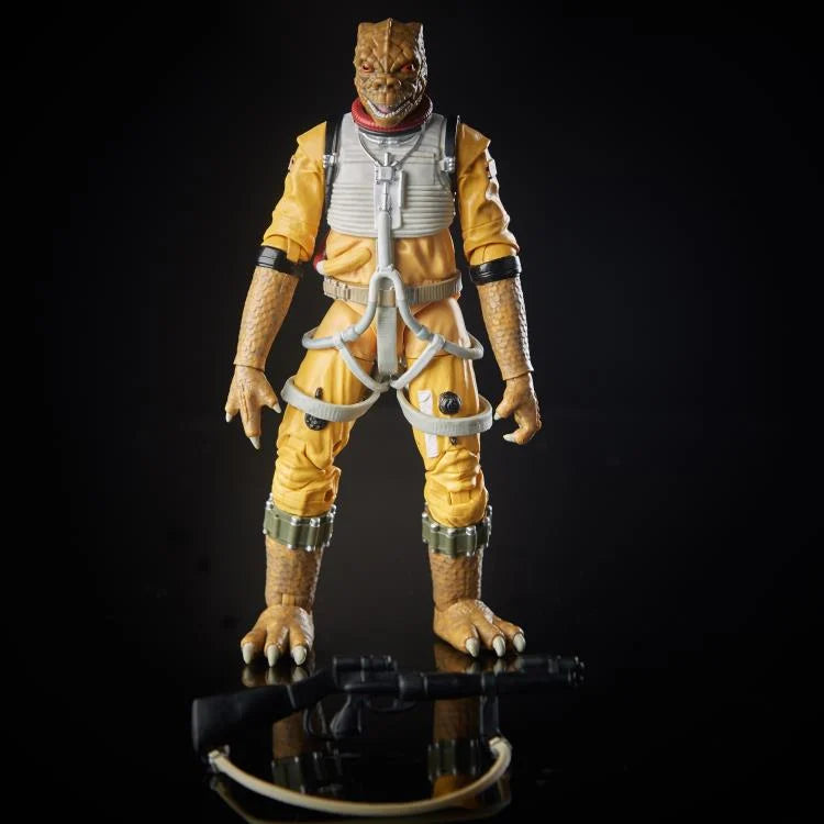 Load image into Gallery viewer, Star Wars the Black Series - Archive Bossk (Reissue)
