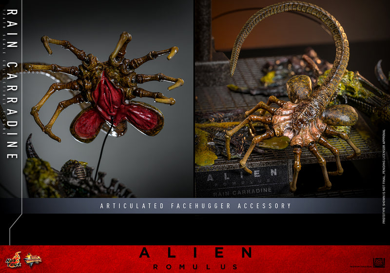 Load image into Gallery viewer, Hot Toys - Alien: Romulus - Rain Carradine
