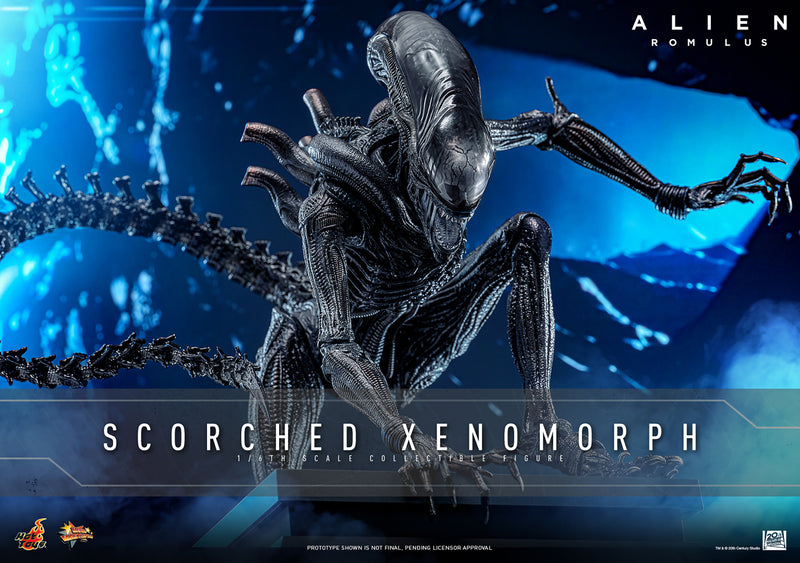 Load image into Gallery viewer, Hot Toys - Alien: Romulus - Scorched Xenomorph
