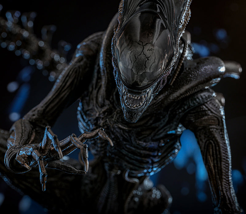 Load image into Gallery viewer, Hot Toys - Alien: Romulus - Scorched Xenomorph
