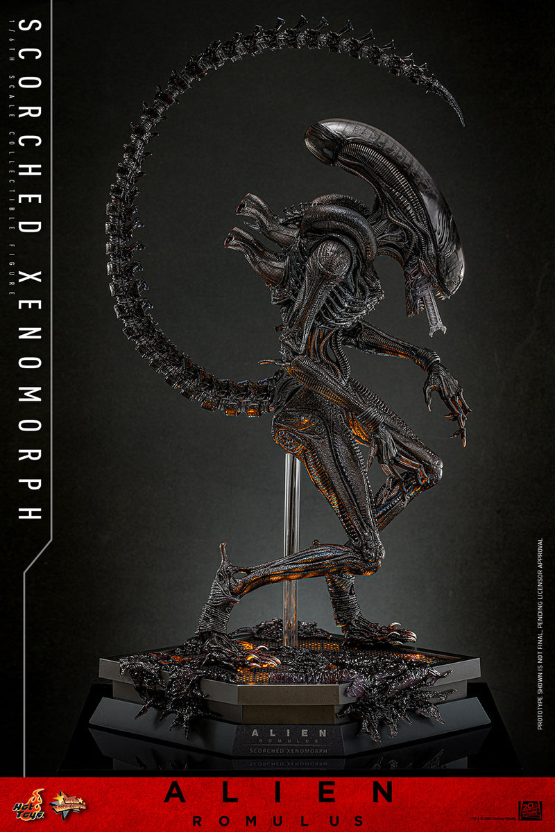 Load image into Gallery viewer, Hot Toys - Alien: Romulus - Scorched Xenomorph
