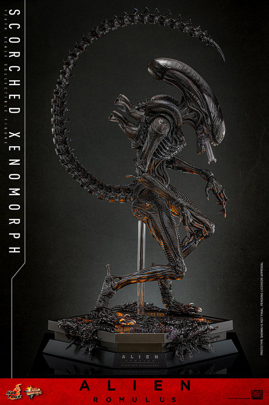 Hot Toys - Alien: Romulus - Scorched Xenomorph