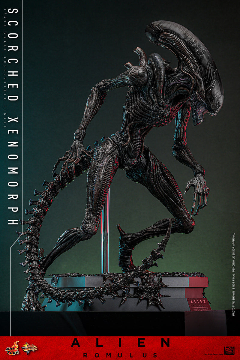 Load image into Gallery viewer, Hot Toys - Alien: Romulus - Scorched Xenomorph
