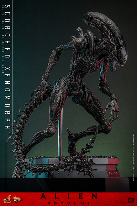 Hot Toys - Alien: Romulus - Scorched Xenomorph