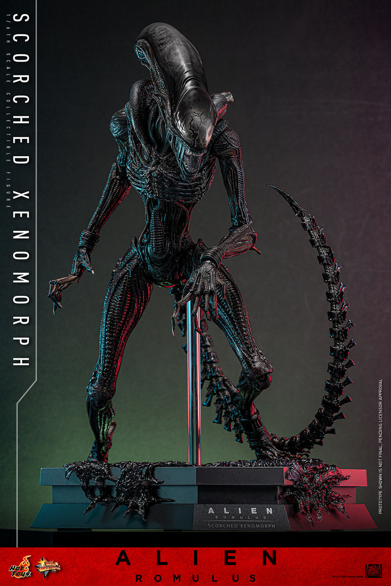 Load image into Gallery viewer, Hot Toys - Alien: Romulus - Scorched Xenomorph
