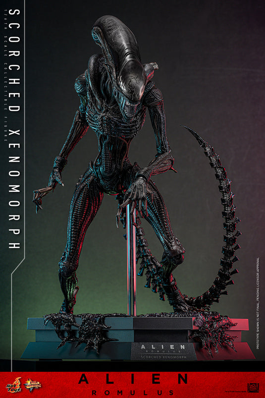 Hot Toys - Alien: Romulus - Scorched Xenomorph