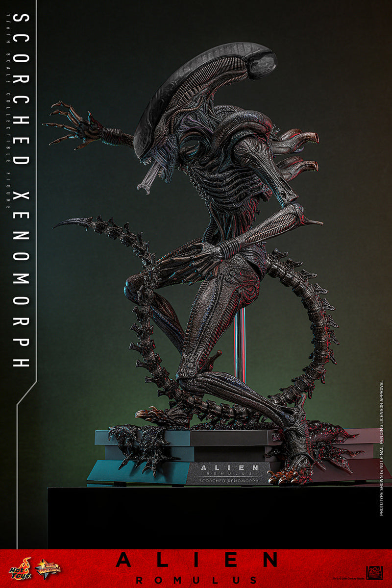 Load image into Gallery viewer, Hot Toys - Alien: Romulus - Scorched Xenomorph
