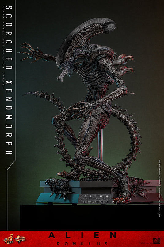 Hot Toys - Alien: Romulus - Scorched Xenomorph