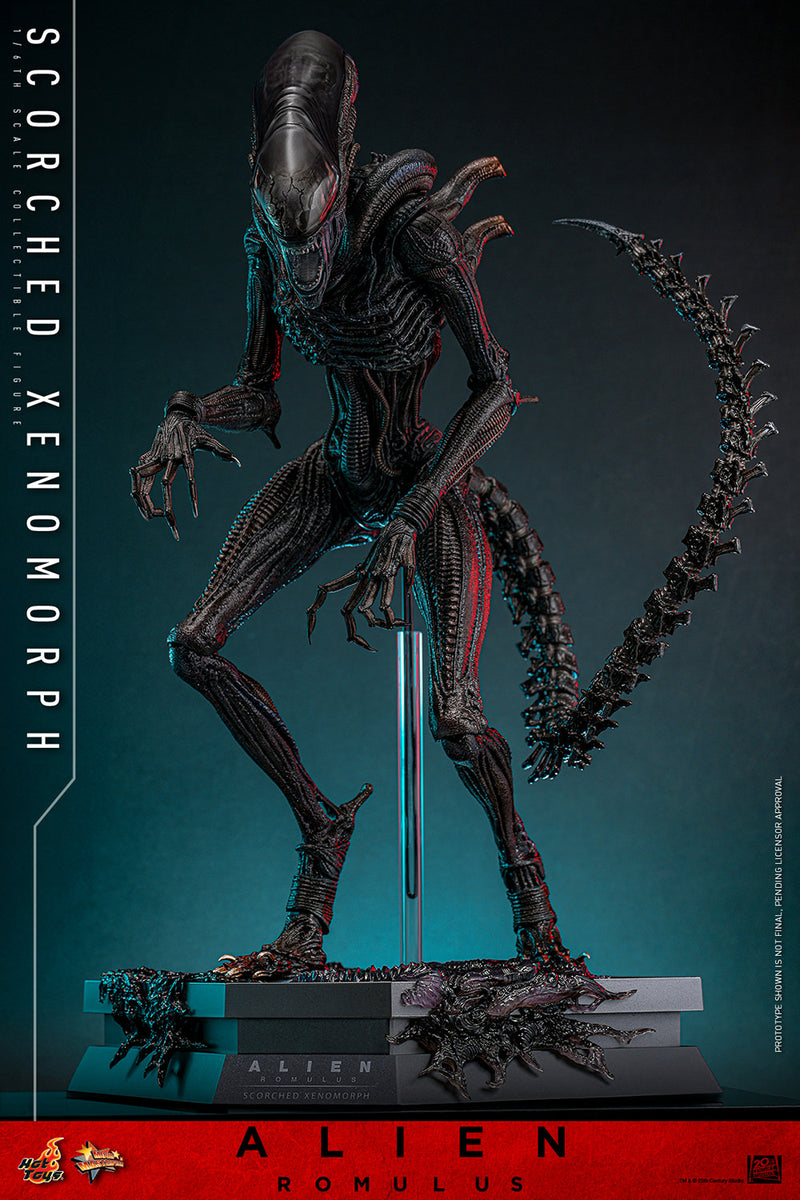 Load image into Gallery viewer, Hot Toys - Alien: Romulus - Scorched Xenomorph
