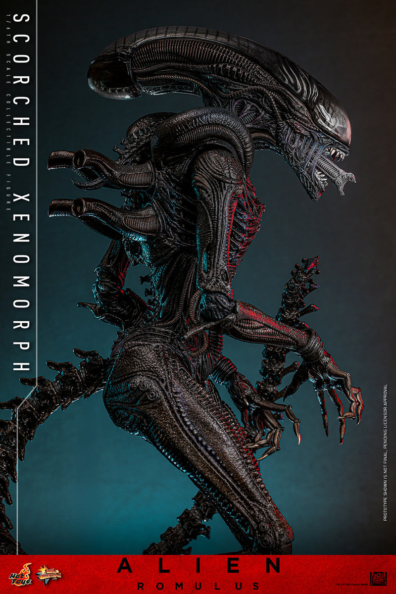 Load image into Gallery viewer, Hot Toys - Alien: Romulus - Scorched Xenomorph
