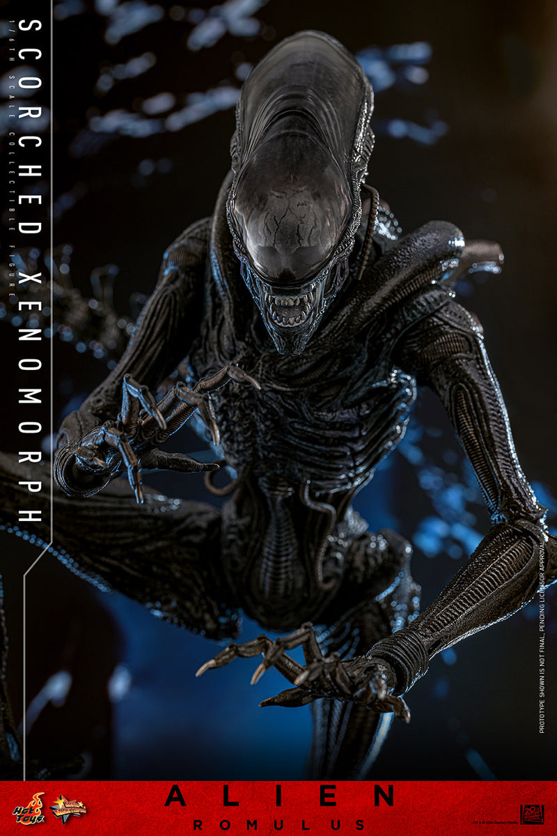 Load image into Gallery viewer, Hot Toys - Alien: Romulus - Scorched Xenomorph
