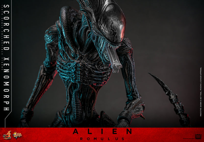 Load image into Gallery viewer, Hot Toys - Alien: Romulus - Scorched Xenomorph
