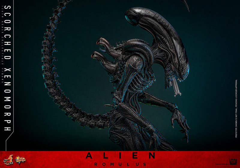 Load image into Gallery viewer, Hot Toys - Alien: Romulus - Scorched Xenomorph
