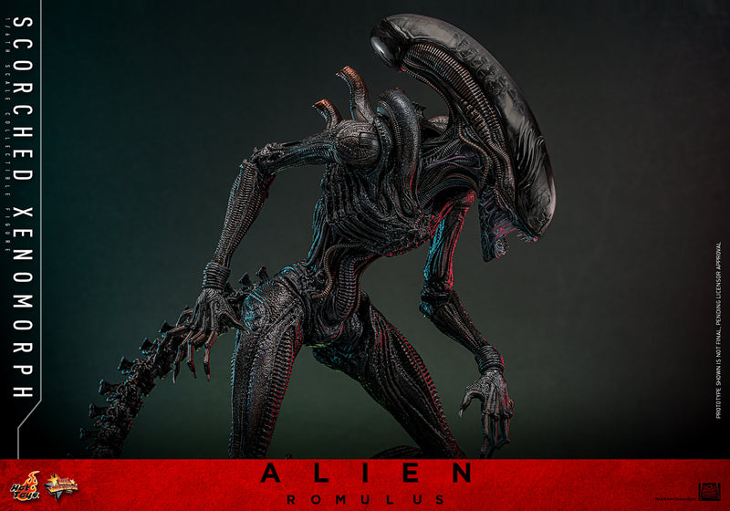 Load image into Gallery viewer, Hot Toys - Alien: Romulus - Scorched Xenomorph
