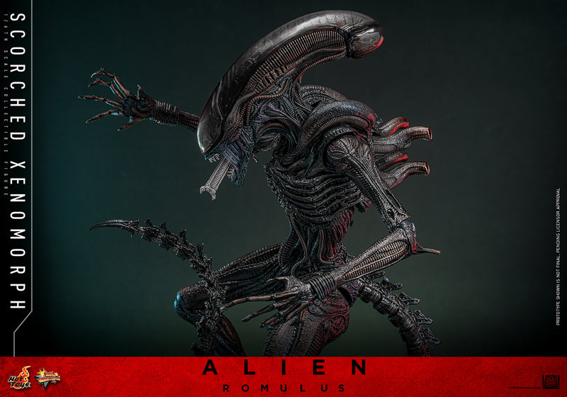 Load image into Gallery viewer, Hot Toys - Alien: Romulus - Scorched Xenomorph
