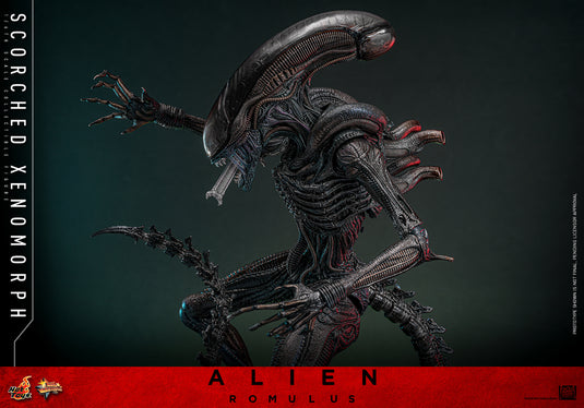 Hot Toys - Alien: Romulus - Scorched Xenomorph