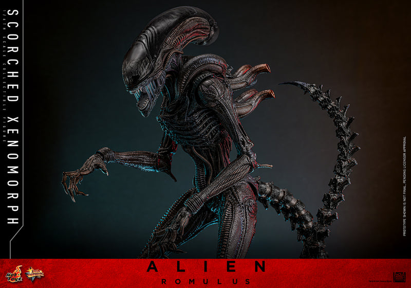 Load image into Gallery viewer, Hot Toys - Alien: Romulus - Scorched Xenomorph
