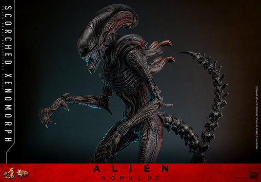 Hot Toys - Alien: Romulus - Scorched Xenomorph