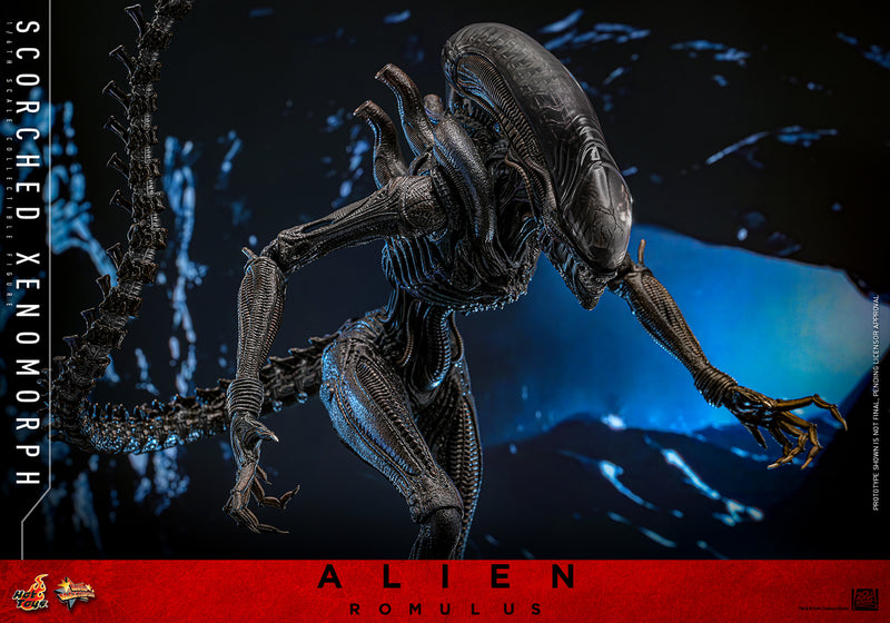 Load image into Gallery viewer, Hot Toys - Alien: Romulus - Scorched Xenomorph
