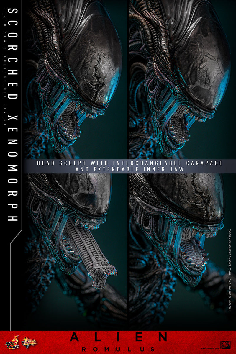 Load image into Gallery viewer, Hot Toys - Alien: Romulus - Scorched Xenomorph
