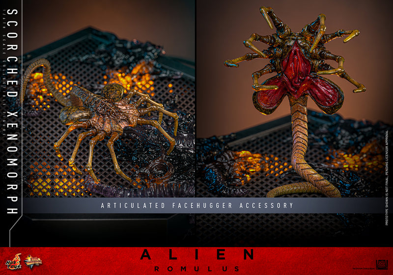 Load image into Gallery viewer, Hot Toys - Alien: Romulus - Scorched Xenomorph
