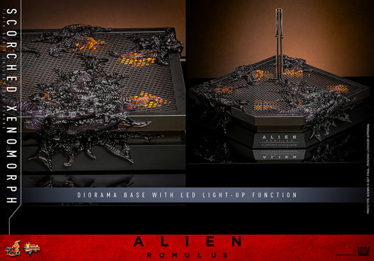 Hot Toys - Alien: Romulus - Scorched Xenomorph