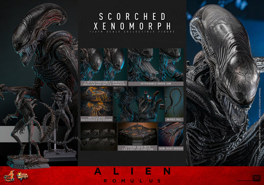 Hot Toys - Alien: Romulus - Scorched Xenomorph