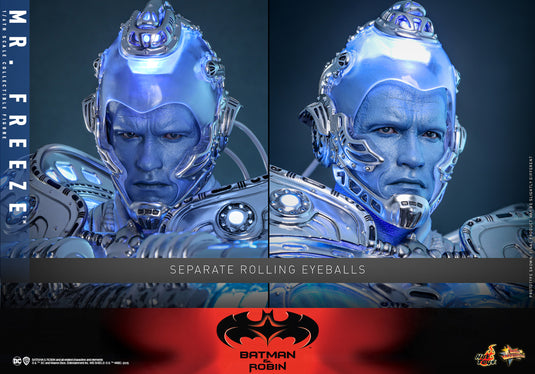 Hot Toys - Batman & Robin - Mr. Freeze