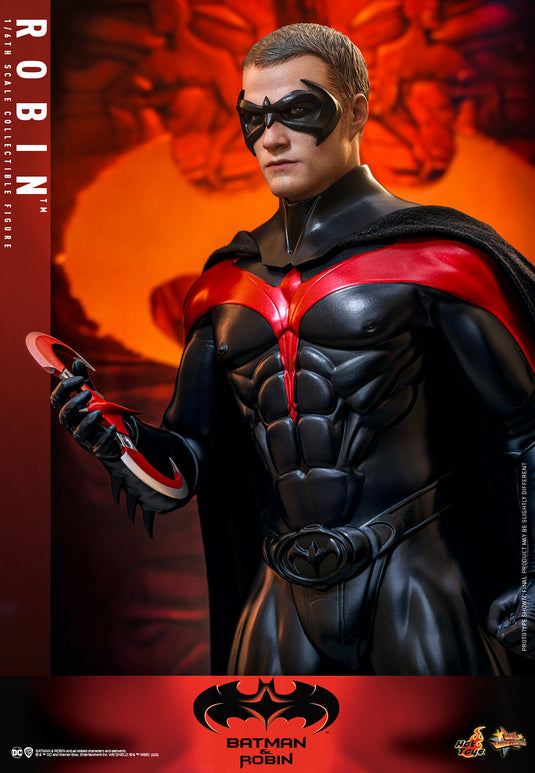 Hot Toys - Batman & Robin - Robin