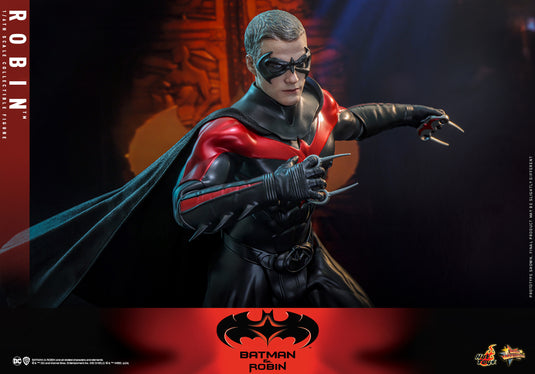 Hot Toys - Batman & Robin - Robin