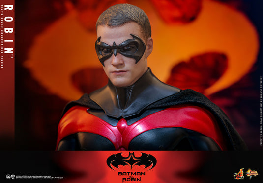 Hot Toys - Batman & Robin - Robin