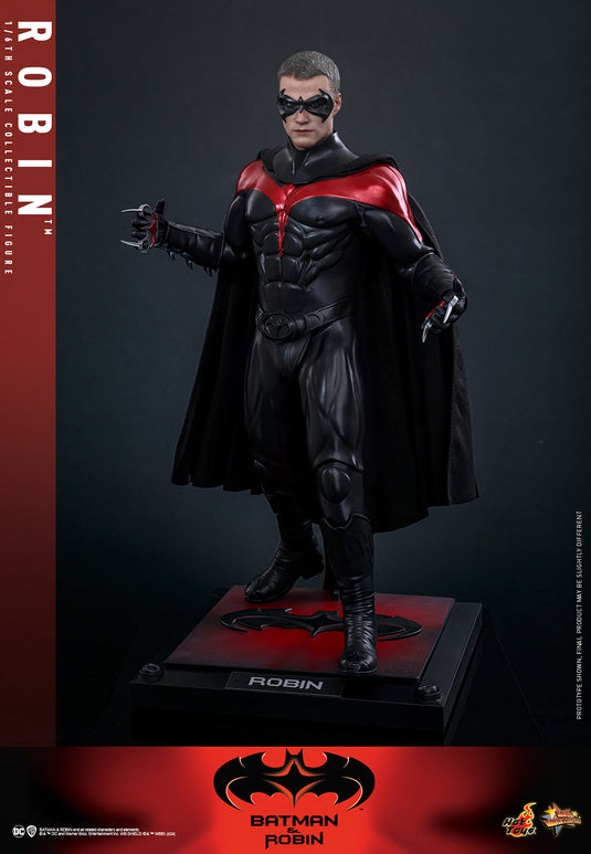 Hot Toys - Batman & Robin - Robin