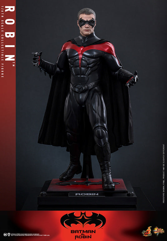 Hot Toys - Batman & Robin - Robin