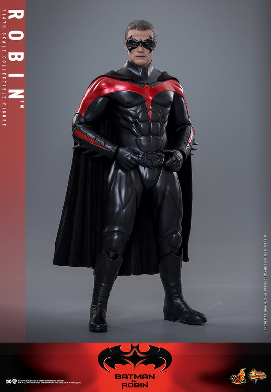 Hot Toys - Batman & Robin - Robin