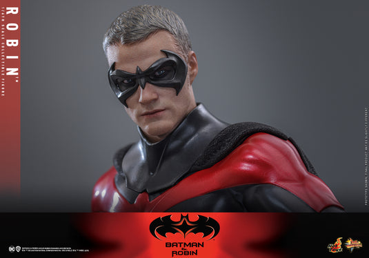 Hot Toys - Batman & Robin - Robin