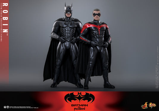 Hot Toys - Batman & Robin - Robin