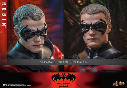 Hot Toys - Batman & Robin - Robin