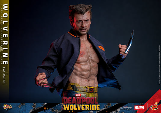 Hot Toys - Deadpool and Wolverine - Wolverine (TVA Jacket Version)