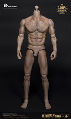 World Box - Thick Chest and Broad Shoulder Male Body