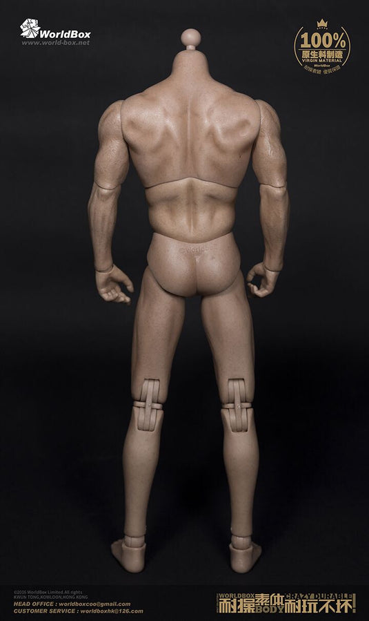 World Box - Thick Chest and Broad Shoulder Male Body