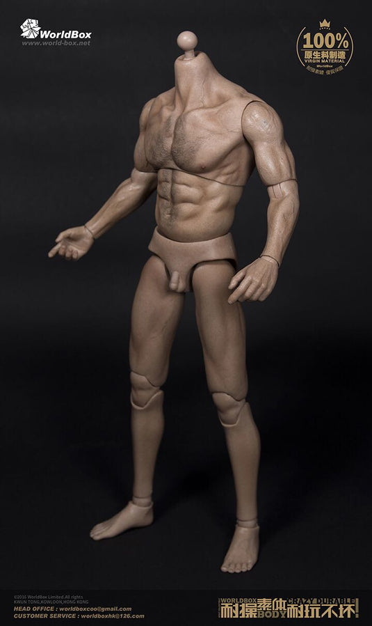 World Box - Thick Chest and Broad Shoulder Male Body