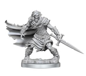 WizKids - Dungeons and Dragons Frameworks: Wight