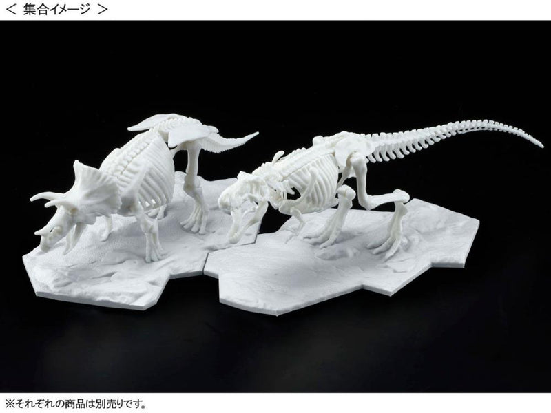 Load image into Gallery viewer, Bandai - Dinosaur Skeleton: Tyrannosaurus
